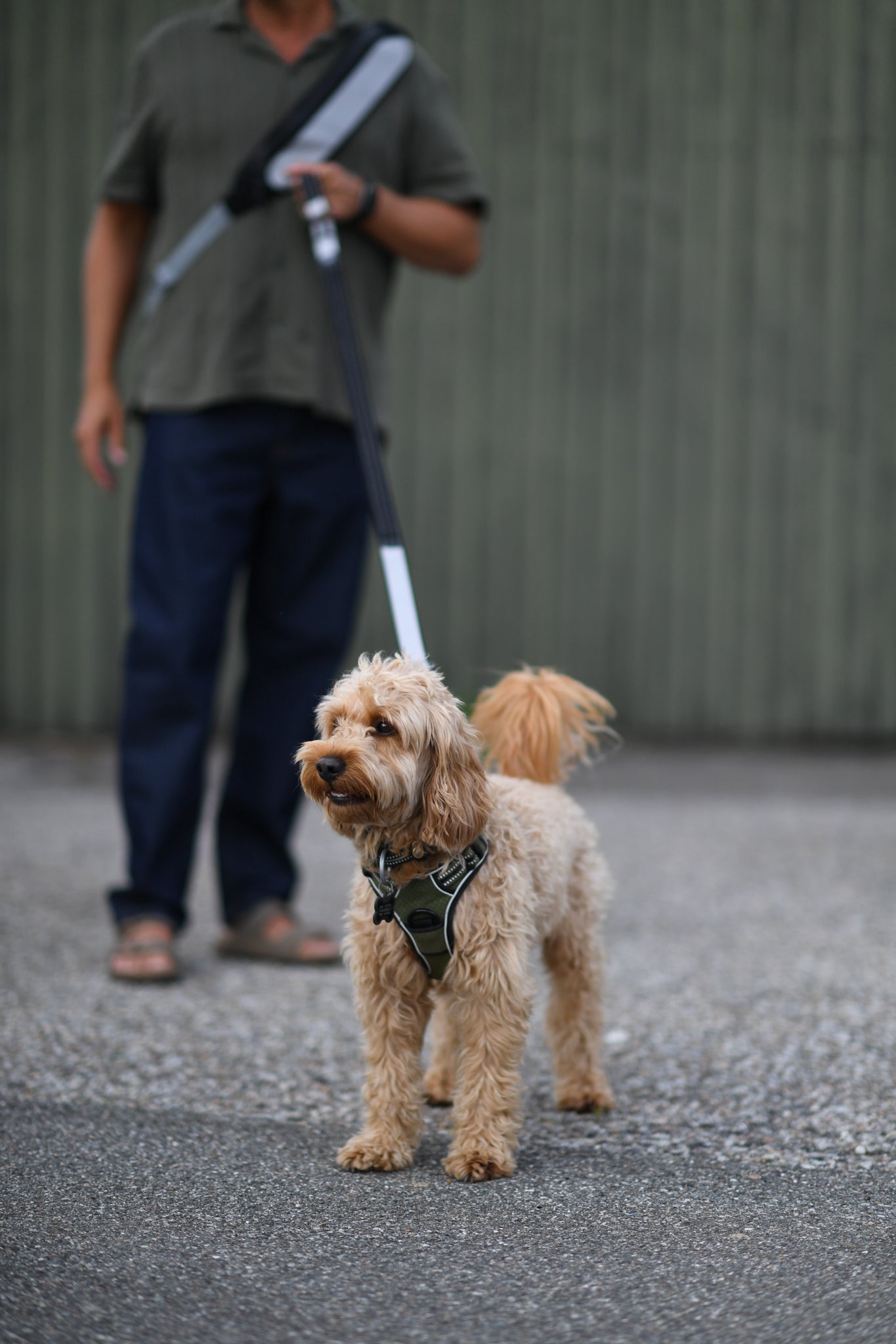 Comet – Multi-functional strap