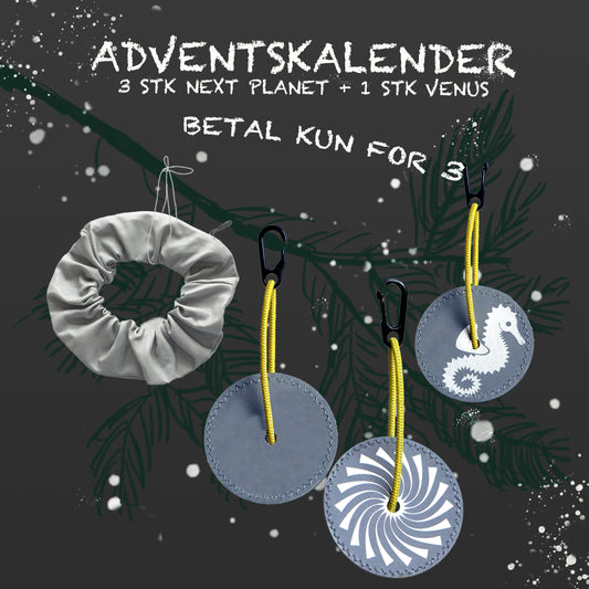 X-mas advent Calender – Julepris