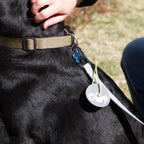 Refleks vedhæng fra Safe & Shine fastgjort på hundesnor som er strappen comet for øget synlighed på gåture