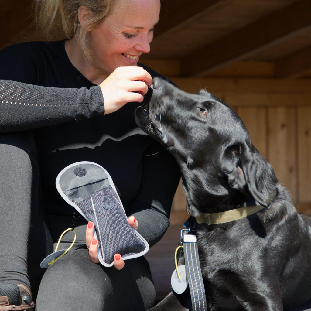 Kvinde med hund bruger Galaxy taske fra Safe & Shine med refleksdetaljer og gul reflekssnor – funktionel opbevaring til gåture og hverdag