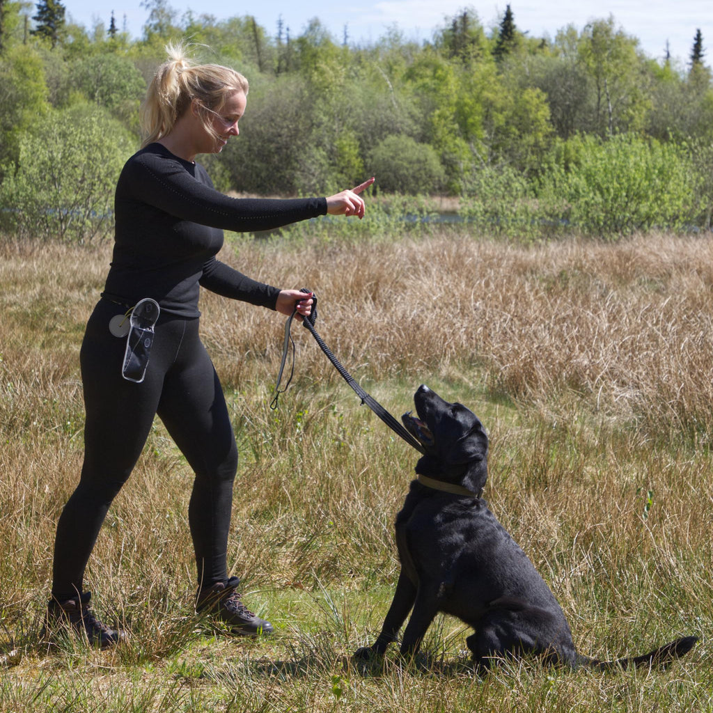 Kvinde træner hund i naturen med Galaxy taske med refleksdetaljer og plads til små nødvendigheder