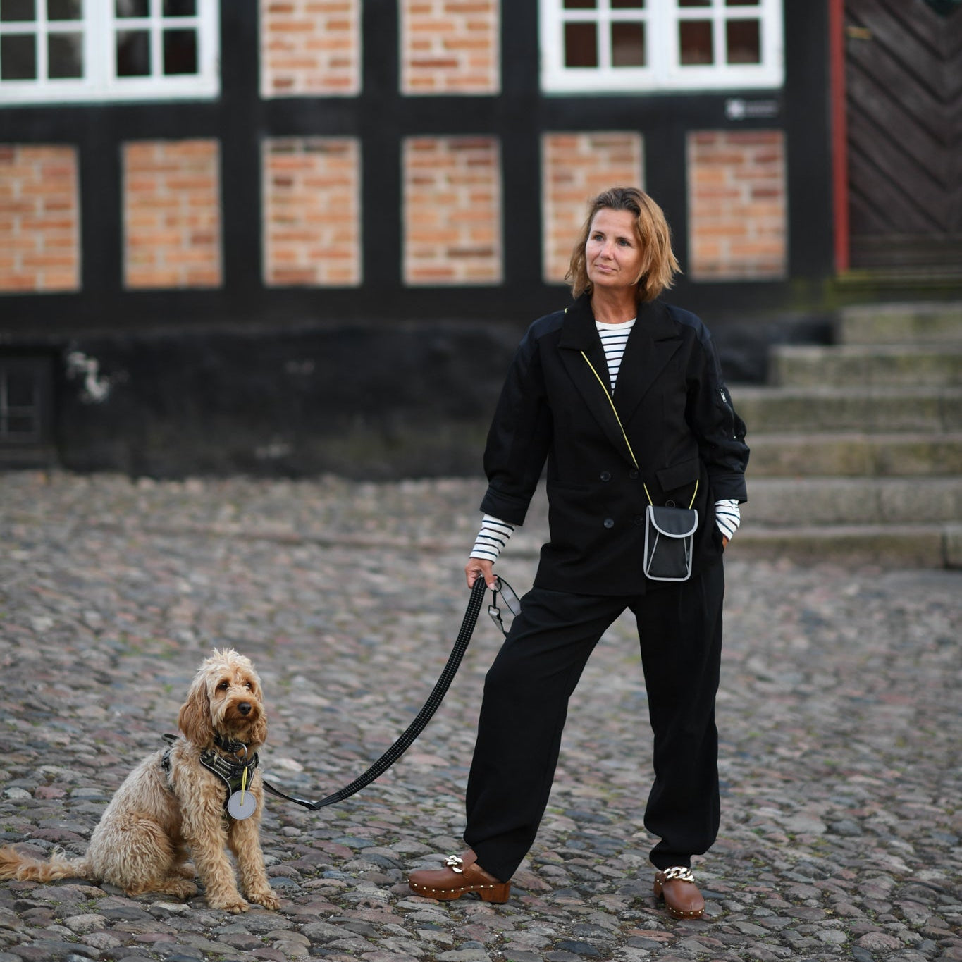 A person wearing a reflective bag strap and a dog, which increases visibility in everyday traffic