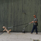 person med hunde og refleks der øger synlighed på gåtur i trafikken