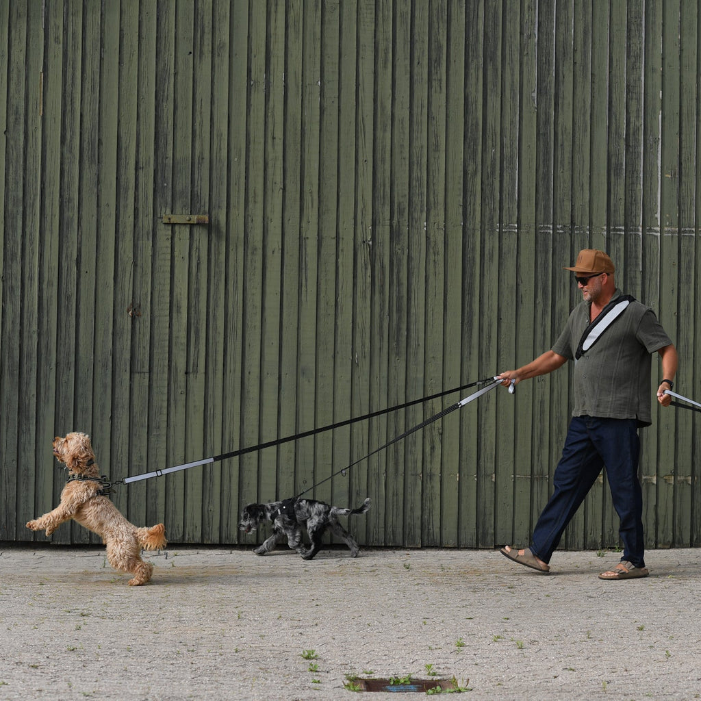 A person walking with dogs and wearing reflective gear to increase visibility while walking in traffic