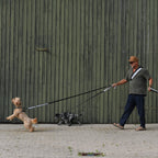 A person walking with dogs and wearing reflective gear to increase visibility while walking in traffic