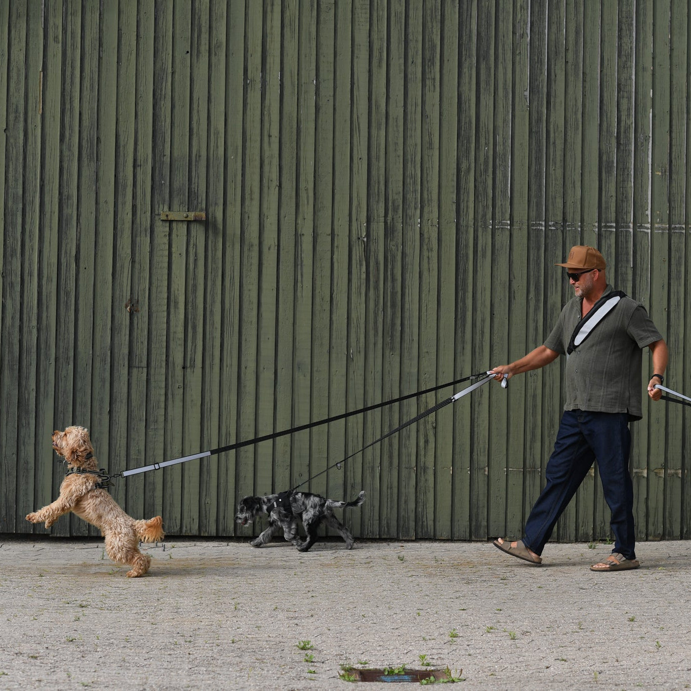 A person walking with dogs and wearing reflective gear to increase visibility while walking in traffic