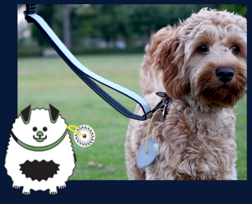 hund med refleks på snor der øger synlighed i mørke