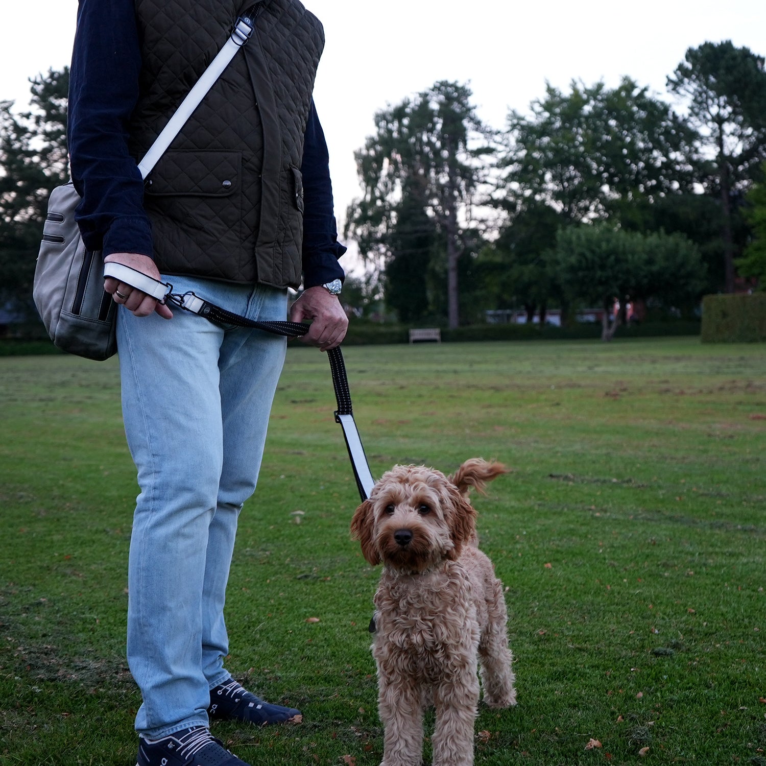 A person walking a dog on a reflective leash that increases visibility in traffic